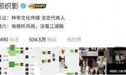 童锦程被爆料卫生间视频,真相与争议